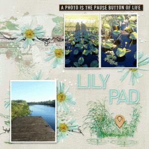 Lily Pad Slow Scrap with Cynthia