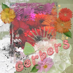 Gerbers Glitch Pic