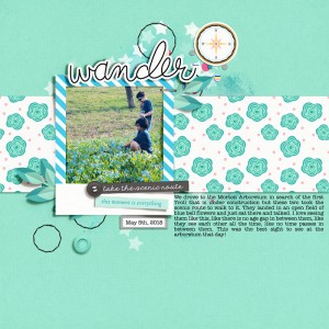 Wander - Slow Scrap iNSD 5/6