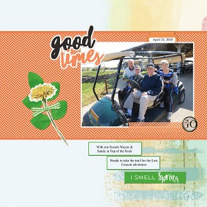 May6_SlowScrap_bellbird_web