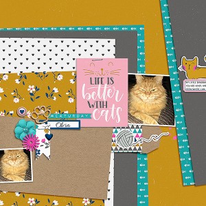 Life is Better With Cats