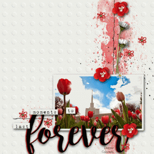 tulips photo challenge