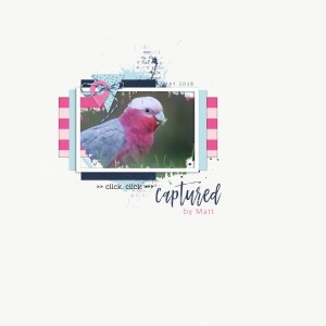 Scraplift Challenge - May 18