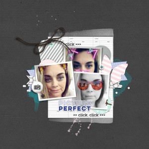 Picture Perfect