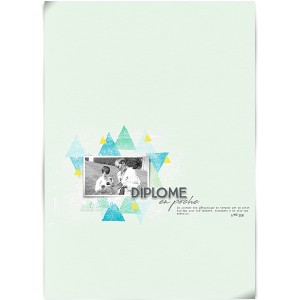 Diplome en poche