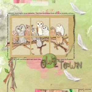 Owl Town - May Challenge