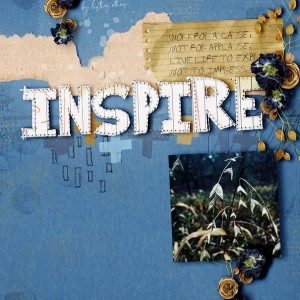 Inspire