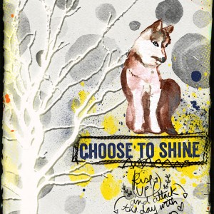 Shine