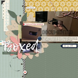 BoxedMay2018SwL