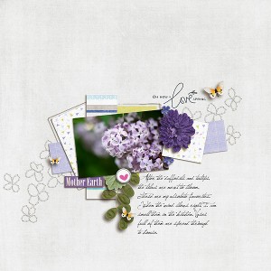 Love Spring Lilacs