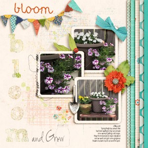 Bloom and Grow