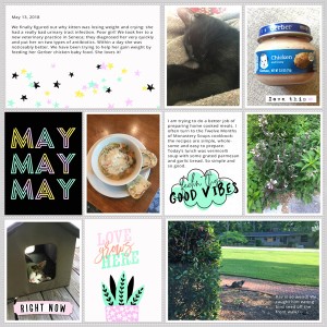 May III