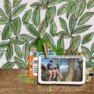Play On, Wild N Free