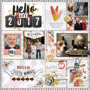 2017 PL Cover