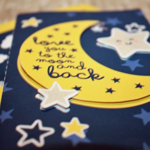 Love You To The Moon Details