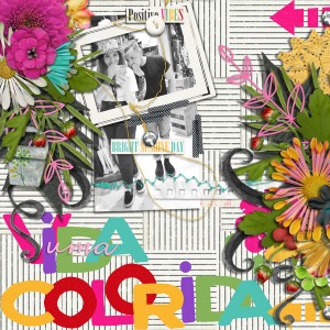 UmaVidaColorida (A Colorful Life)