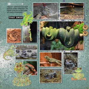 Snakes Frogs And More