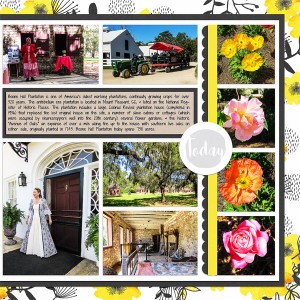 Boone Hall Plantation_right