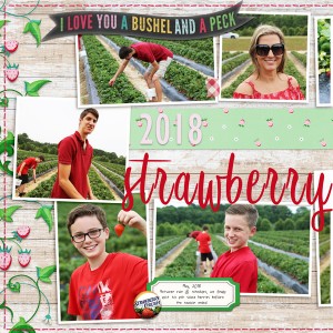 Strawberries 2018 (left side)