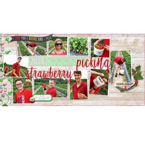 Strawberries full size