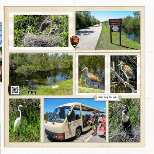Shark Valley, the Everglades National Park, right