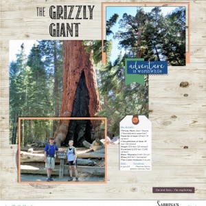 The Grizzly Giant