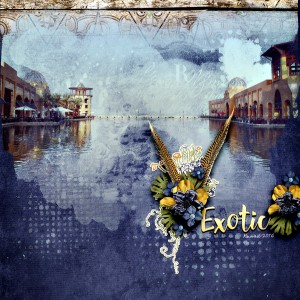 Exotic