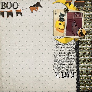 the black cat