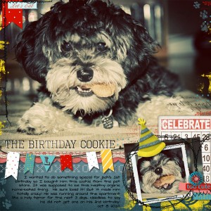 The Birthday Cookie