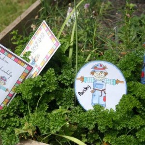 Scarecaterpillar Herb Garden Kit