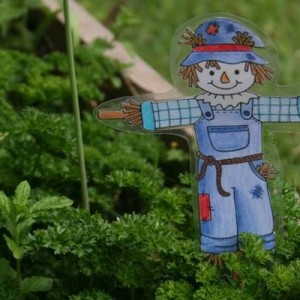 Scarecaterpillar Herb Garden Kit