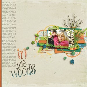 In the woods