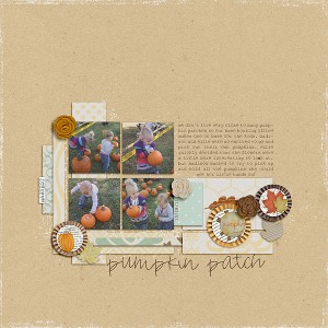 Pumpkin Patch