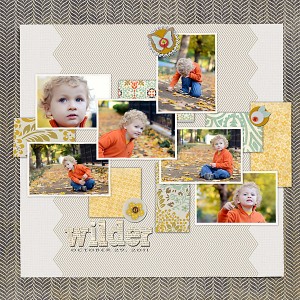 Fall Wilder