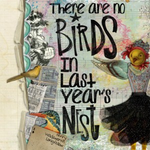 No Birds
