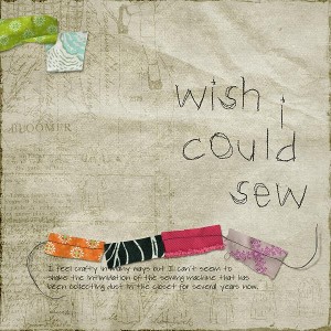 Wish I Could Sew