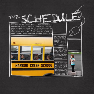 schedule
