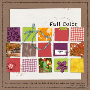 Fall Color
