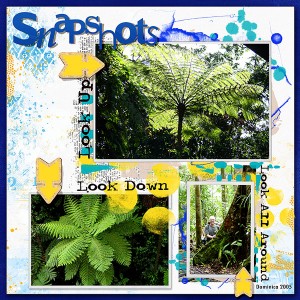 2018-Rain-Forest-Dominica-2005