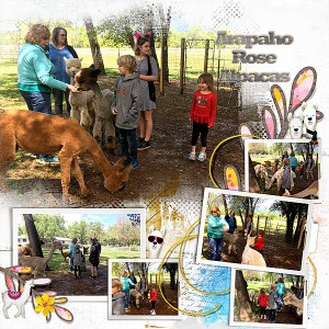 2017-Kids-Visit-Alpaca--Farm-p1-v2