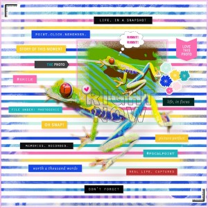 Sara Gleason-May-Story Prompt Challenge-Live Out Loud-Froggy Life