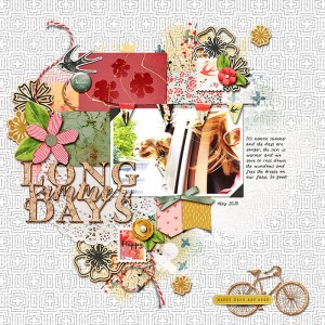 Long Summer Days