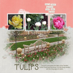 Tulips 2018