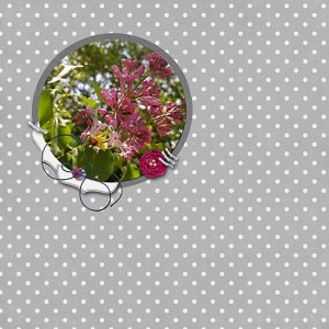 Lilacs