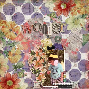 Wonder