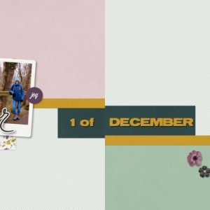 1of December 2017 - Double