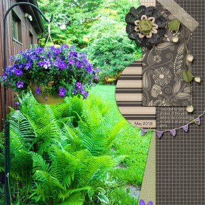 Scrapping-with-Liz_2018-06_June-MIS_web