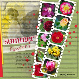 Summer Flowers - June Challenge