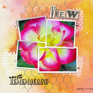 View worth Remembering - June Challenge