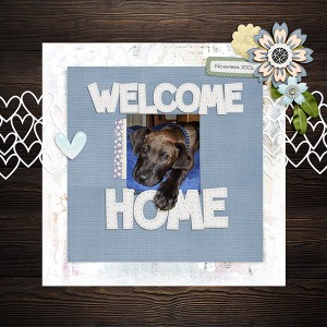 Welcome Home